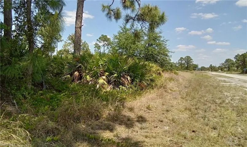 Tbd Brook Ave S, Lehigh Acres Fl 33974