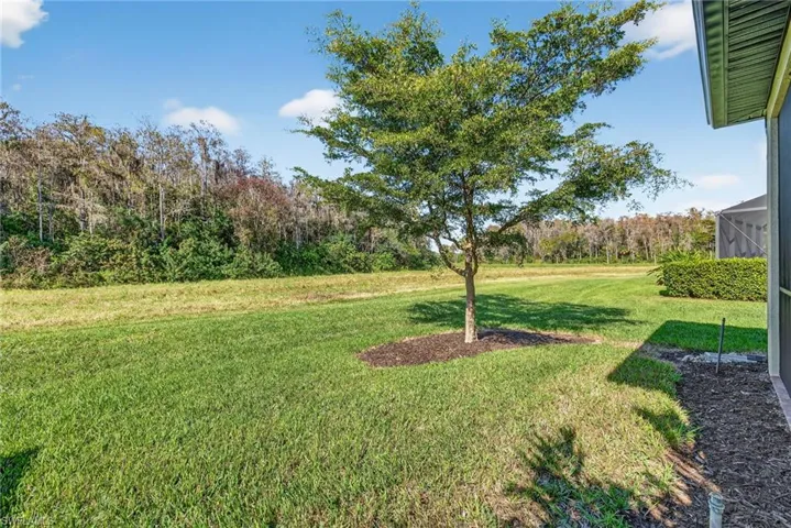 View of green lawn