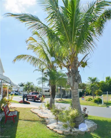 Front landscaping