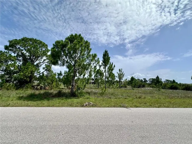 Spacious undeveloped lot featuring mature pine trees and natural vegetation