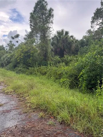325 Irving Ave, Lehigh Acres, Florida 33936