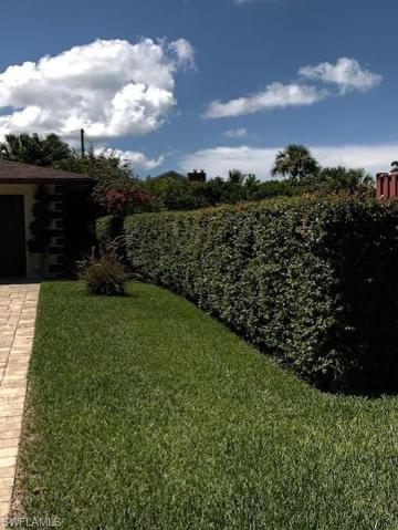 Privacy Hedge from house to the Right!!!