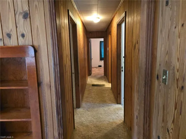 Hallway featuring wooden walls and carpet flooring