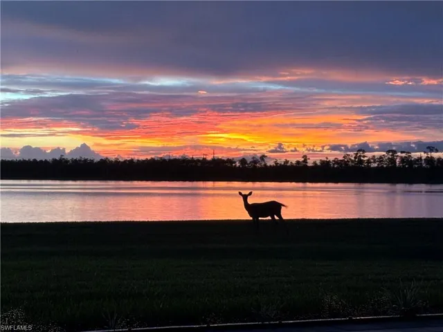 Amazing sunset views and wildlife abound!