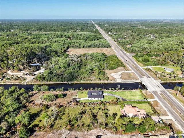 Aerial view of a forest