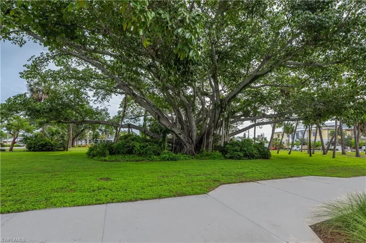 Banyan Tree Bonita Springs