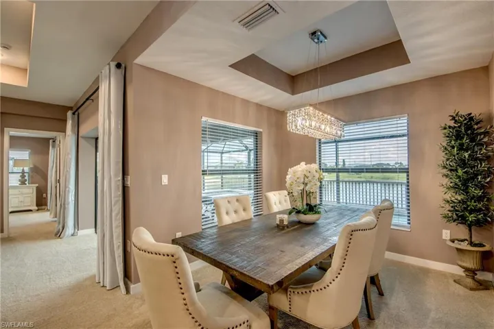 Dining space featuring a tray ceiling, plenty of natural light, and carpet flooring