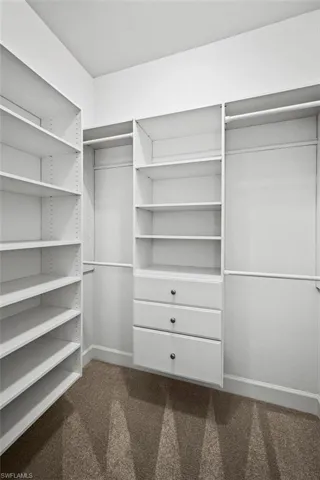 Spacious closet with dark colored carpet