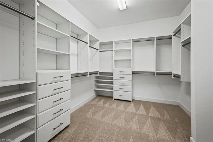 Walk in closet with light colored carpet