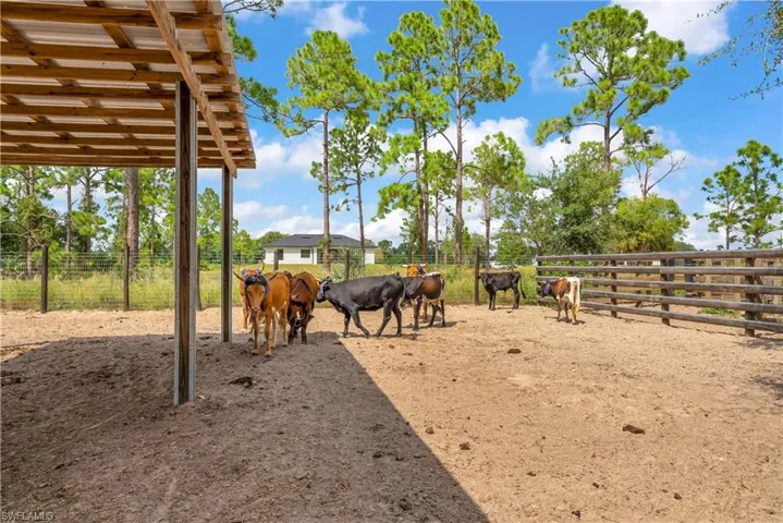 View of yard featuring a view of rural / pastoral area and an outbuilding
