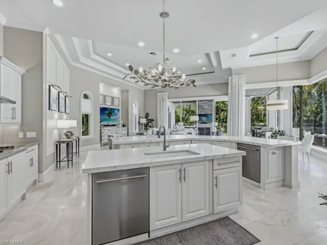 Kitchen (2 dishwashers) and family room