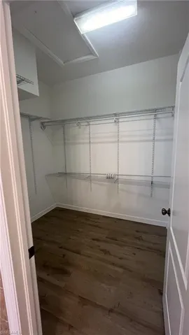 Walk in closet with dark wood-style flooring