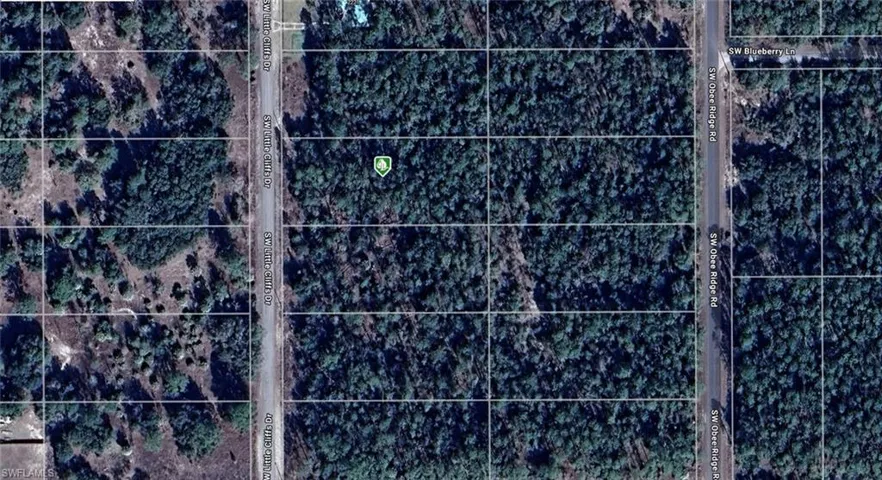 1811-016-025 SW Little Cliffs  DR, Dunnellon, FL 34431