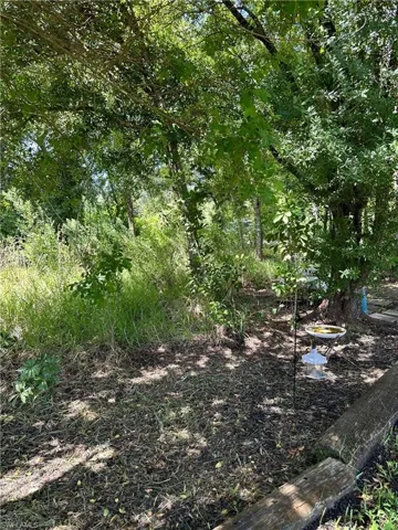View of local wilderness
