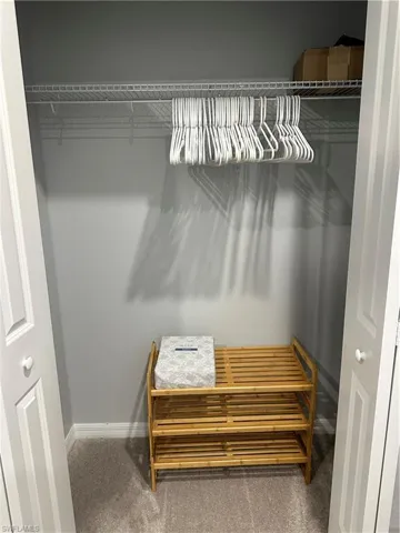 View of Guest closet
