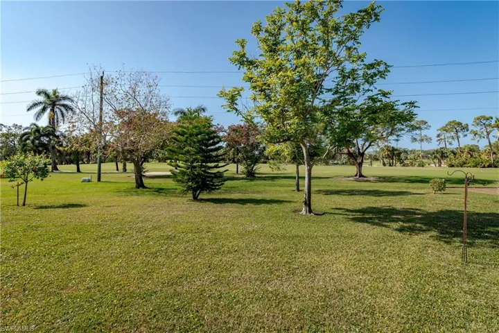 Back yard deep lot