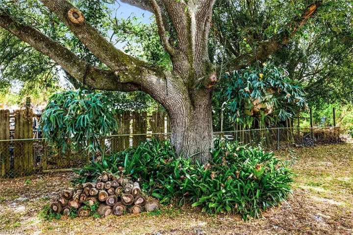 View of fenced backyard