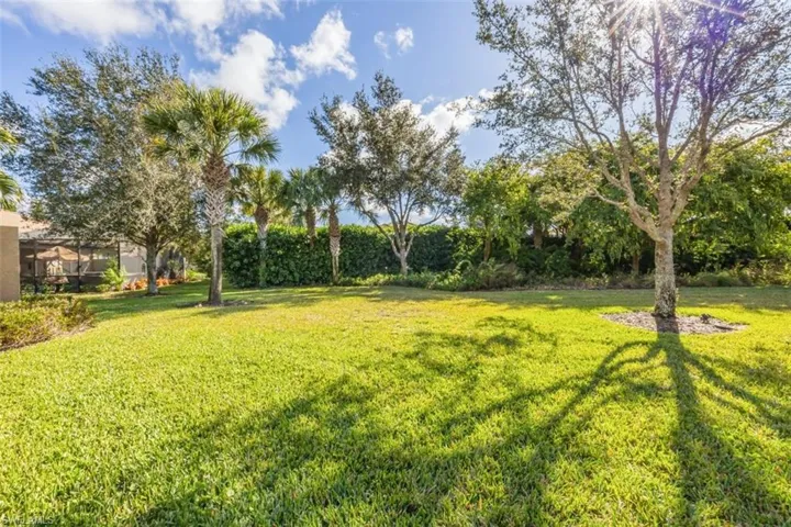 View of green lawn