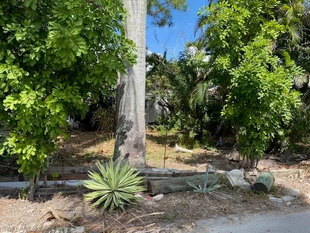 front yard