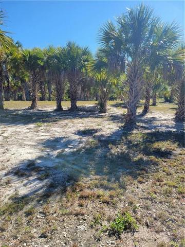 16th SE AVE, Naples, FL 34117