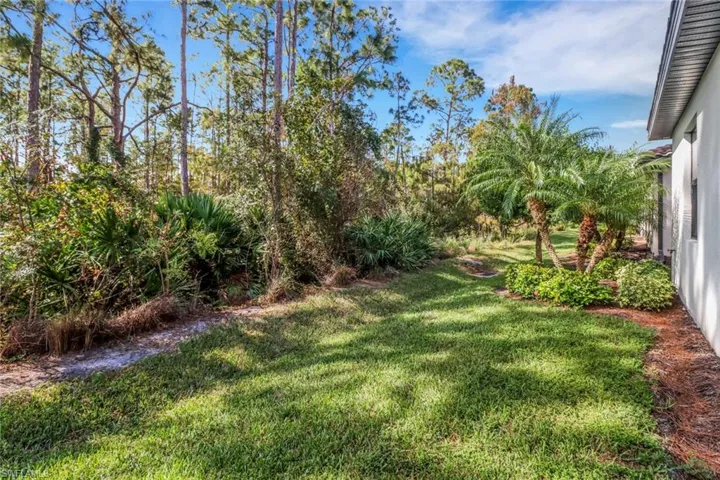 View of backyard