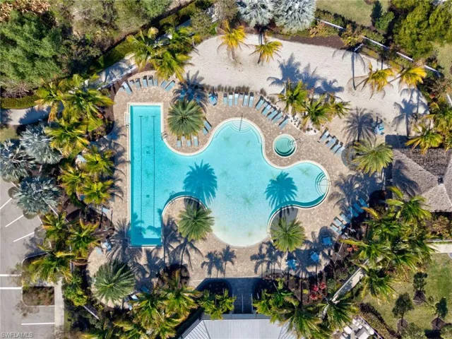 Resort-style pool area featuring a free-form swimming pool, separate lap pool, and integrated spa