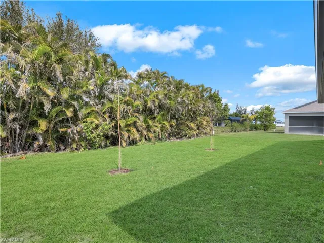 View of green lawn