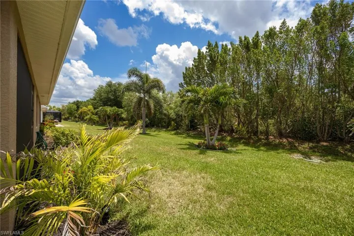 Expansive green lawn with established palm trees and dense perimeter foliage