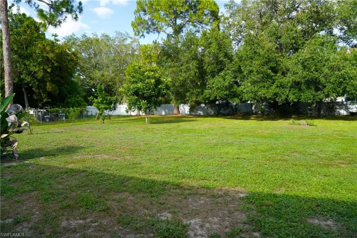 Yard