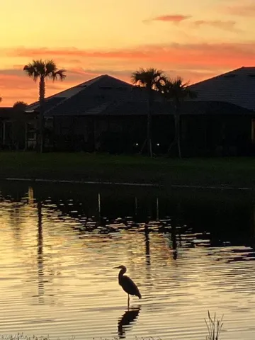 Water view