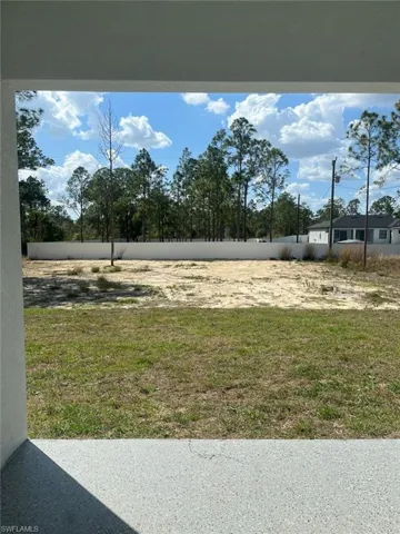 back yard