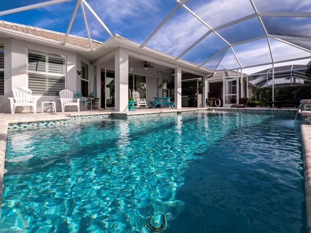 Pool & Patio