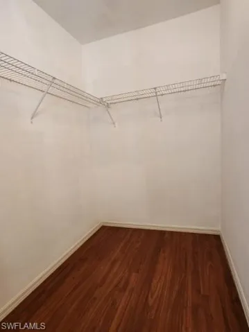 Walk in closet featuring dark wood-style floors