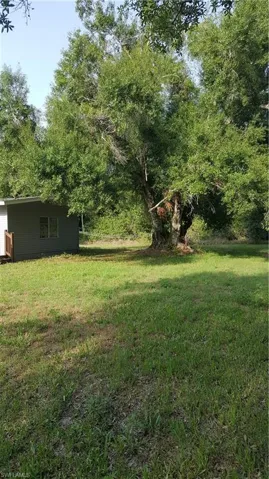Side yard