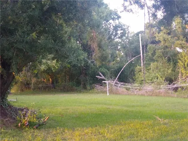 View of grassy yard