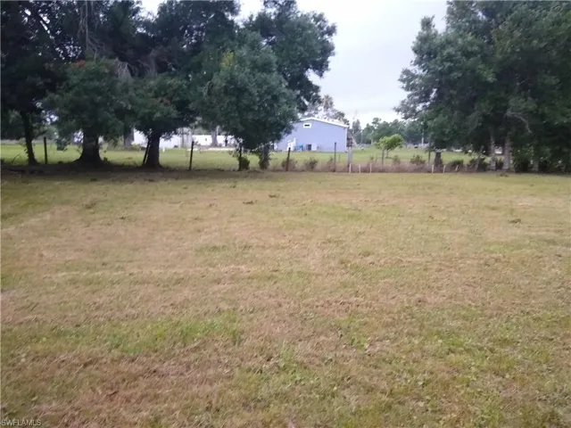 Back yard