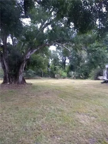 Back yard behind family room