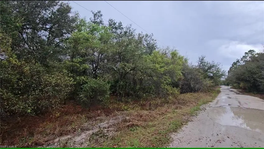 Natural terrain featuring established trees and vegetation