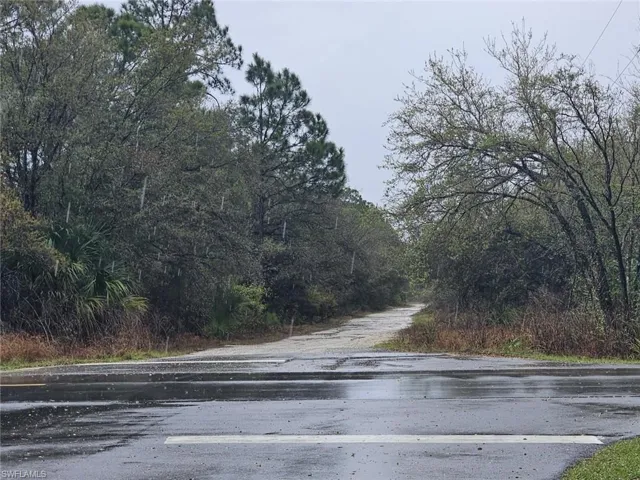 Paved road frontage with direct access to a natural, unpaved path framed by mature trees and natural vegetation