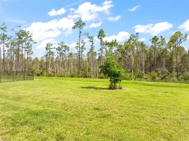 20424  Camino Torcido  LOOP, North Fort Myers, FL 33917