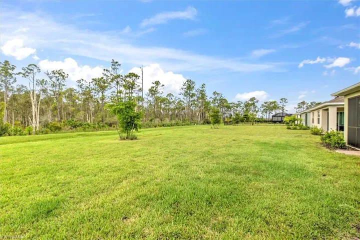 20424  Camino Torcido  LOOP, North Fort Myers, FL 33917