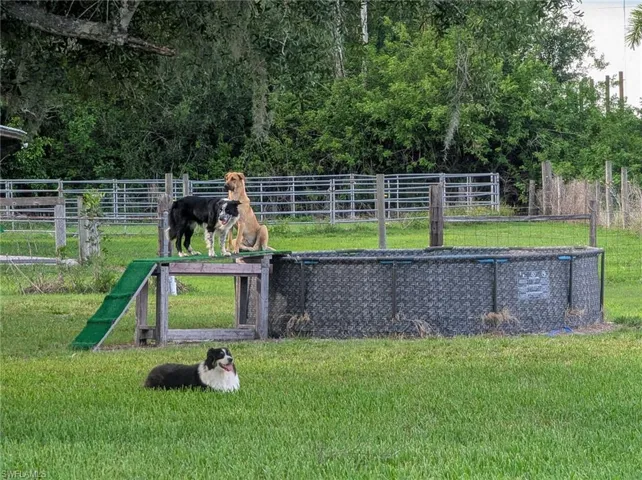 DOG Pool!  But there is wiring for options