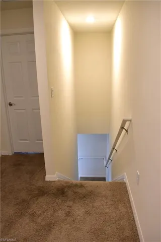 Stairway with carpet and baseboards