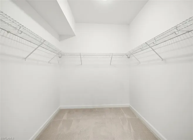 Spacious closet featuring light carpet