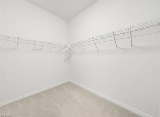 Spacious closet featuring light carpet