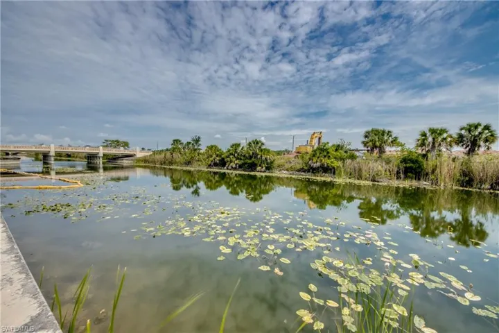 Waterfront setting featuring lily pads, established foliage, and a nearby bridge