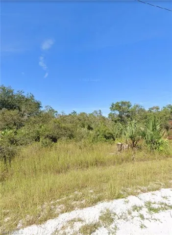 View of undeveloped land