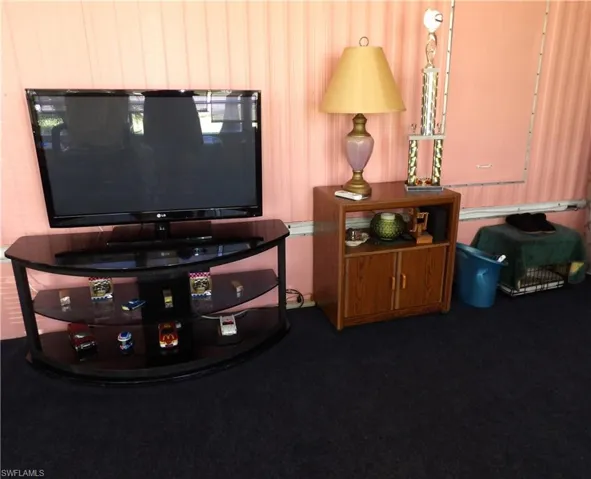Tropical Floida/Lanai room