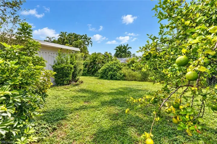 Expansive green lawn with mature trees and tropical foliage