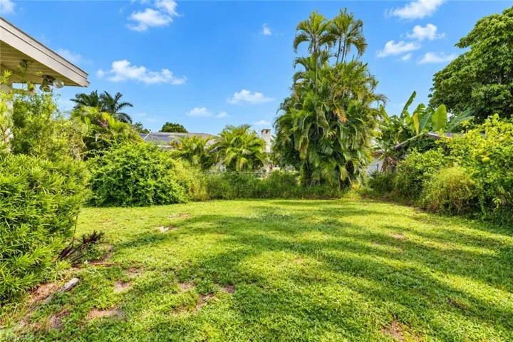 Expansive yard space featuring a lush lawn, mature palm trees, and dense perimeter foliage